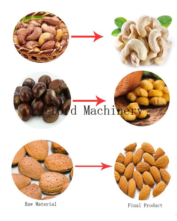 Cashew Nut Sheller Machine Cashew Nut Sheller Machine