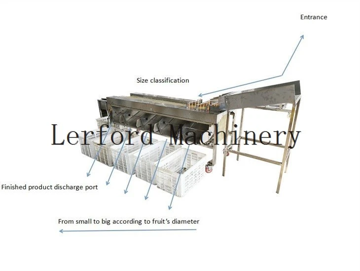 potato sorting machine