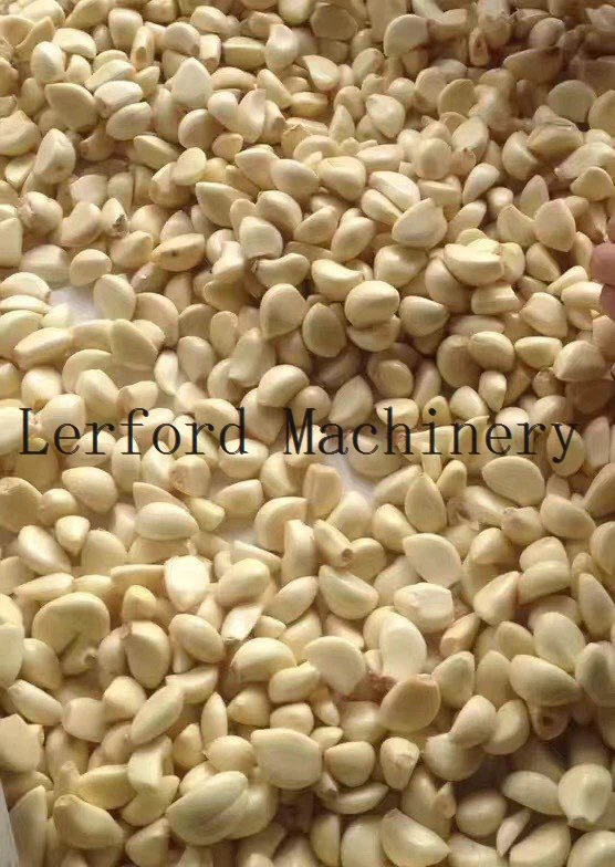 commercial garlic peeler