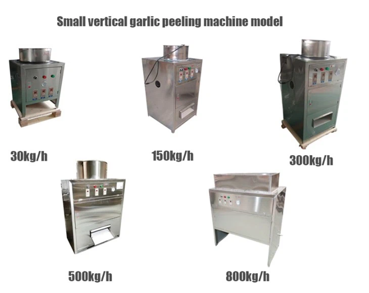 Dry Garlic Peeler factory