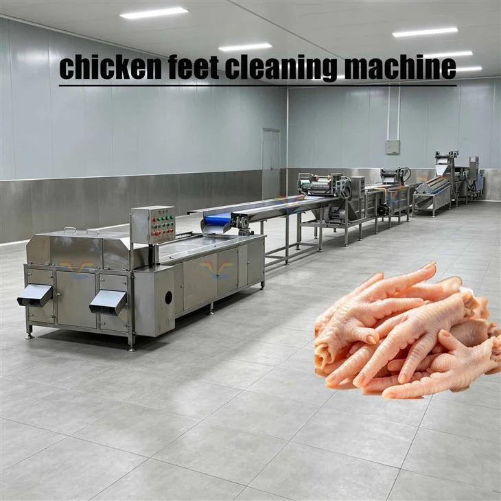 Chicken Feet Cleaning Machine factory