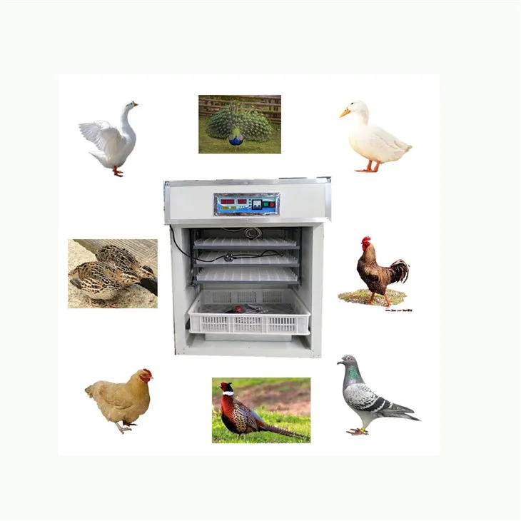 Commercial Incubator For Hatching Eggs suppliers