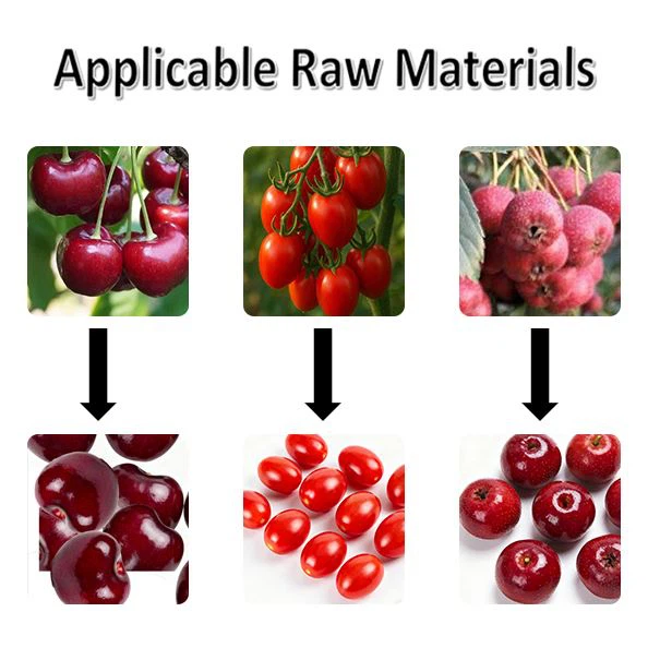 Destemming Machine factory