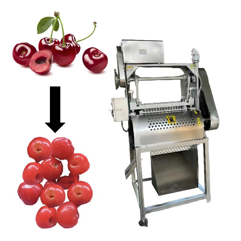Auto Cherry Pitter best