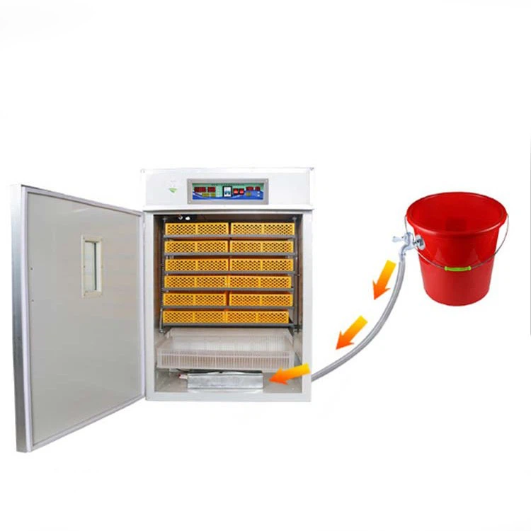 Chicken Egg Incubator
