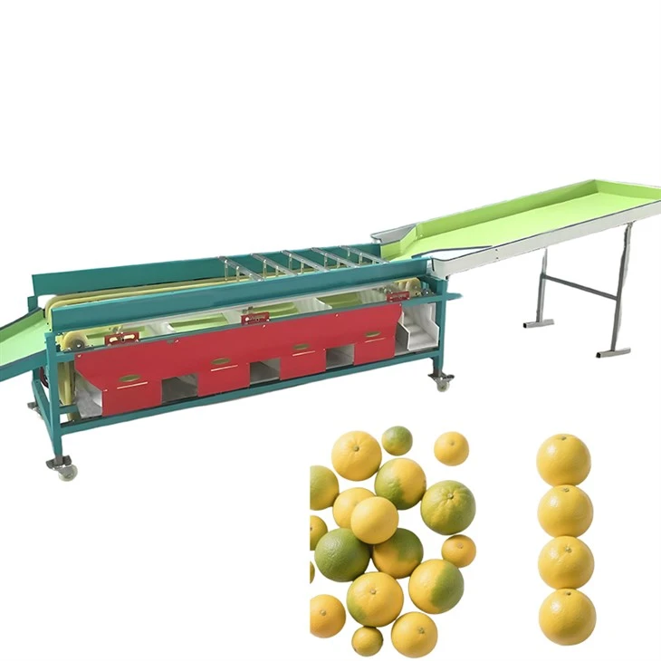 Fruit Grading Machine price	