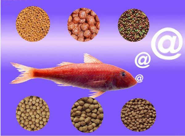 feed pellet machines feed pellet machines