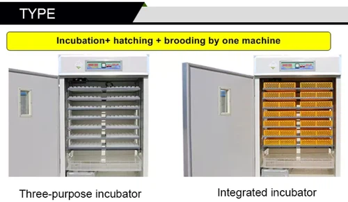 commercial incubator commercial incubator
