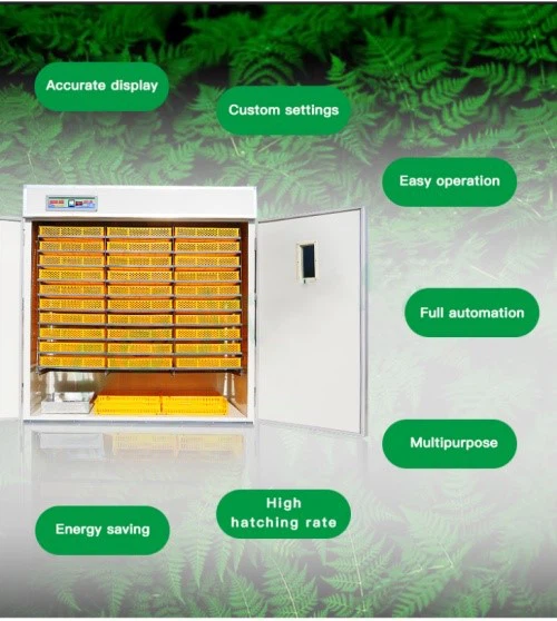 chicken incubator chicken incubator