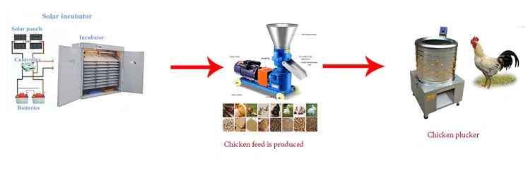 chicken egg incubator chicken egg incubator