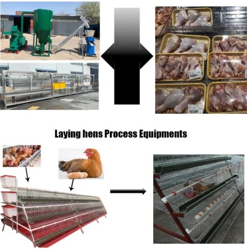 egg incubator egg incubator