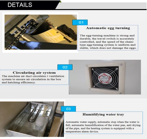 egg incubator egg incubator