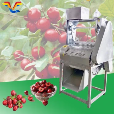 Auto Cherry Pitter Auto Cherry Pitter