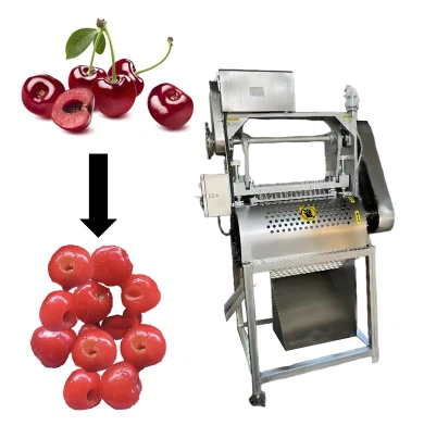 auto cherry pitter auto cherry pitter