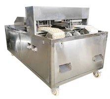 fruit pitting fruit pitting