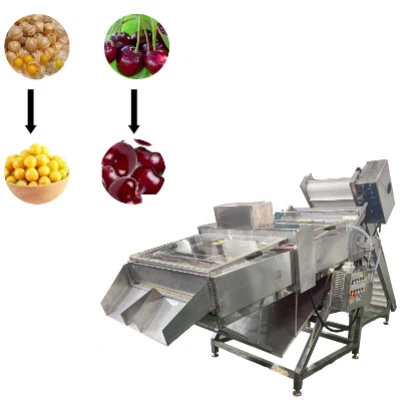 Destemming Machine Destemming Machine