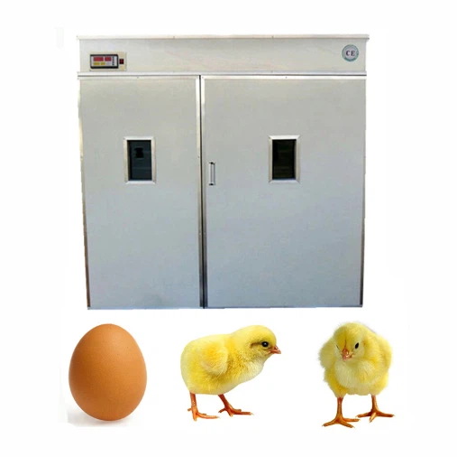 best incubator for turkey eggs best incubator for turkey eggs