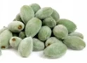 Green Almond peeling machine