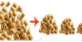 Classifier
