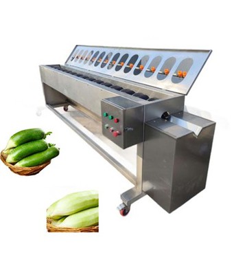 Carrot Peeling Machine