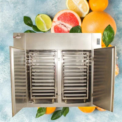 Fruit Dryer Machine