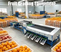 Fruit Grading Equipment