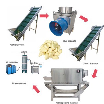 Industrial Garlic Peeling Machine