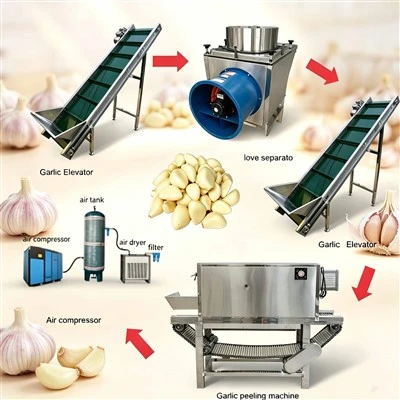 Industrial Garlic Peeling Machine